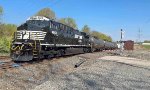 NS 4809 is new to rrpa.